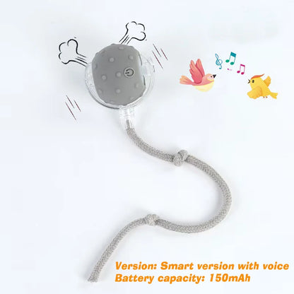 Pelota inteligente PawRoll™: juguete interactivo para perros (Reino Unido) 