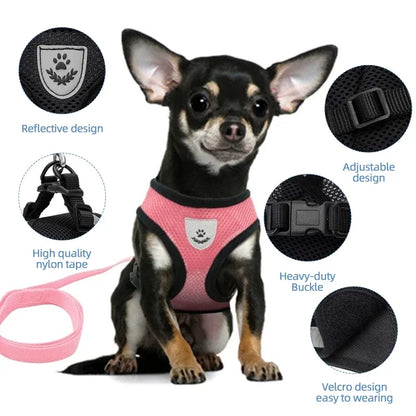 BritPetz AirFlex Harness & Lead