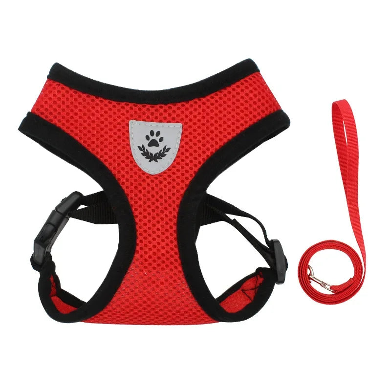 BritPetz AirFlex Harness & Lead