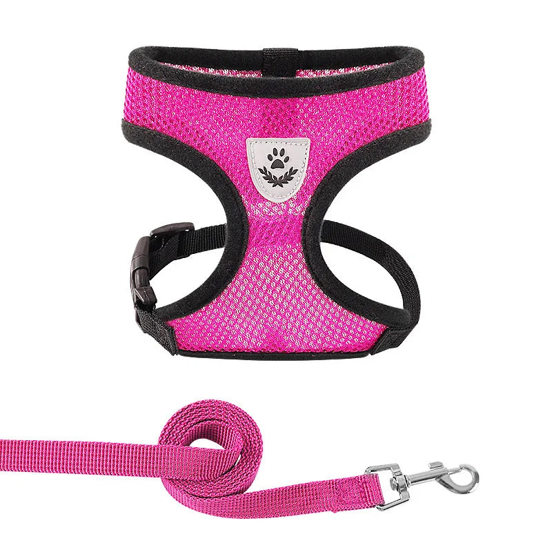 BritPetz AirFlex Harness & Lead