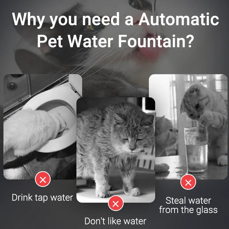 PurrFlow UK – Fuente de agua inteligente para mascotas 