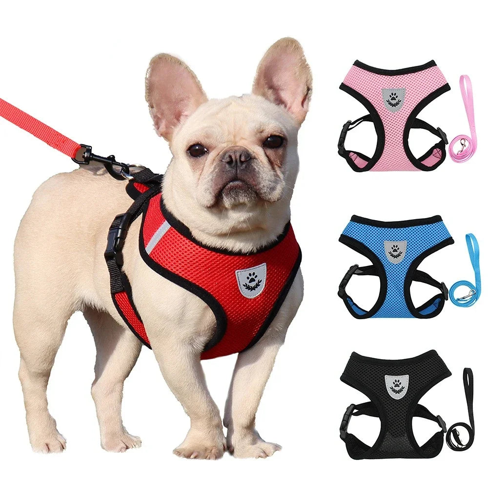 BritPetz AirFlex Harness & Lead