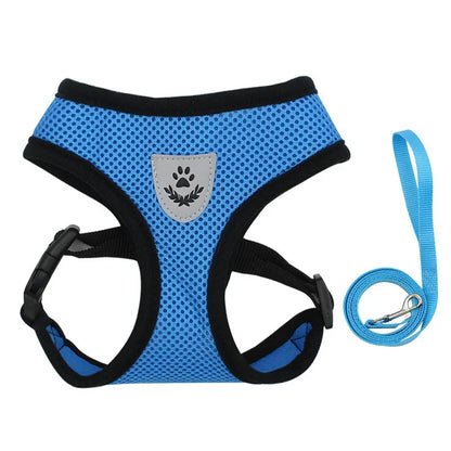 BritPetz AirFlex Harness & Lead