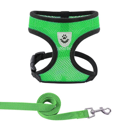BritPetz AirFlex Harness & Lead