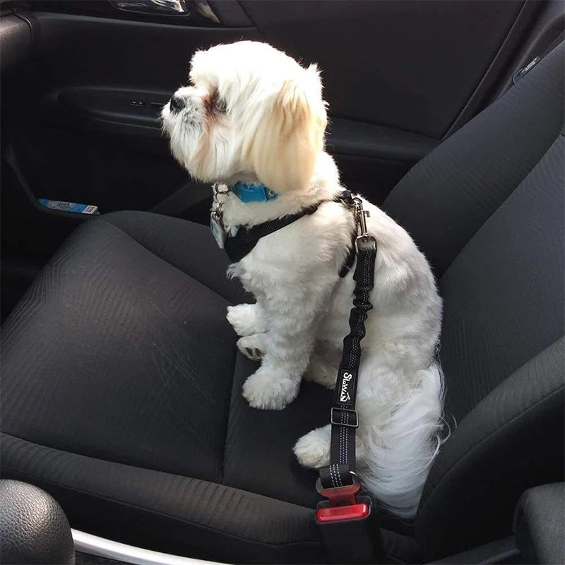 Correa ajustable para perros para coche DrivePaws™ 